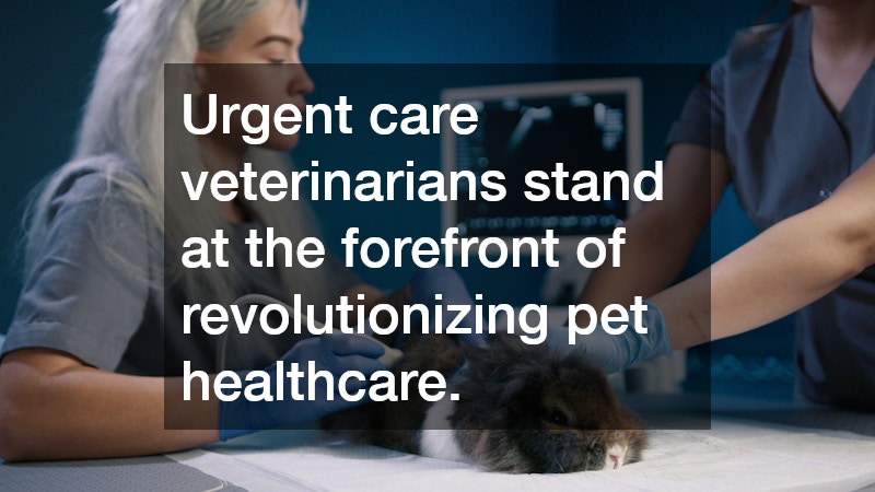Urgent care veterinarians stand at the forefront of revolutionizing pet healthcare.
