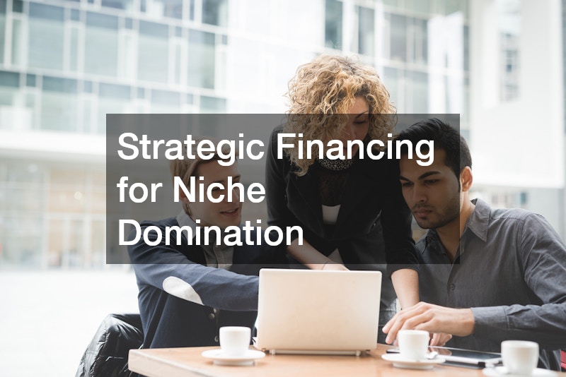 Strategic Financing for Niche Domination