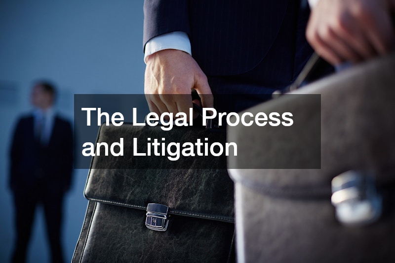 The Legal Process and Litigation