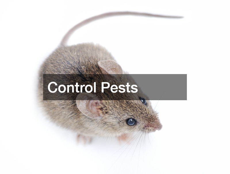 Control Pests