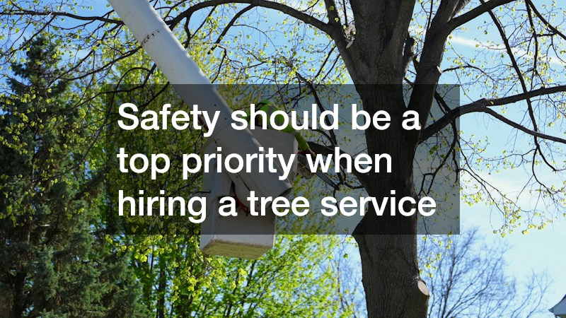 Safety should be a top priority when hiring a tree service