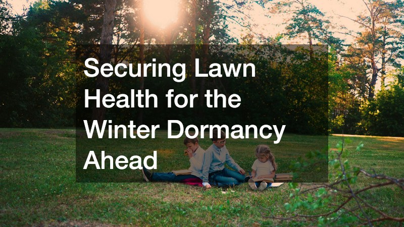 Securing Lawn Health for the Winter Dormancy Ahead