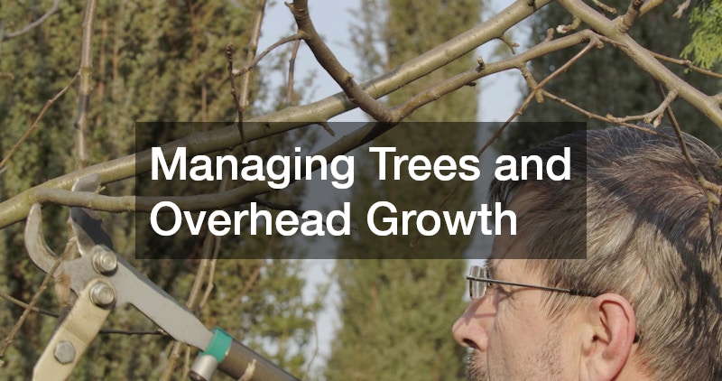 Managing Trees and Overhead Growth