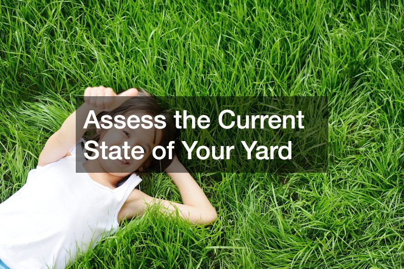 Assess the Current State of Your Yard