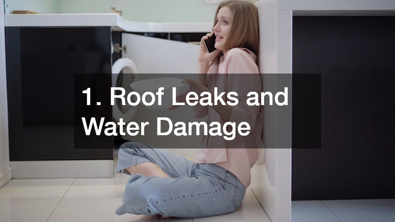 1. Roof Leaks and Water Damage