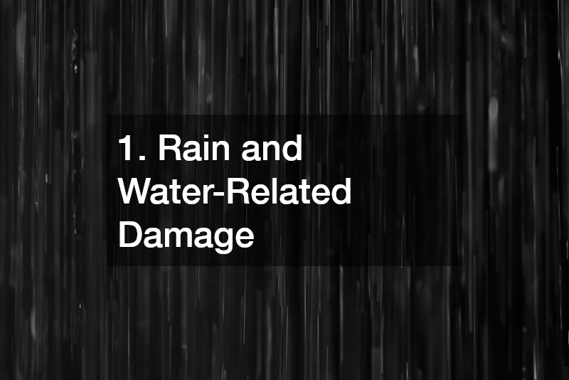 1. Rain and Water-Related Damage