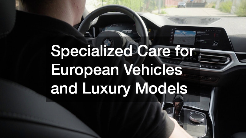 Specialized Care for European Vehicles and Luxury Models