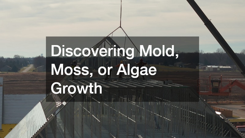 Discovering Mold, Moss, or Algae Growth