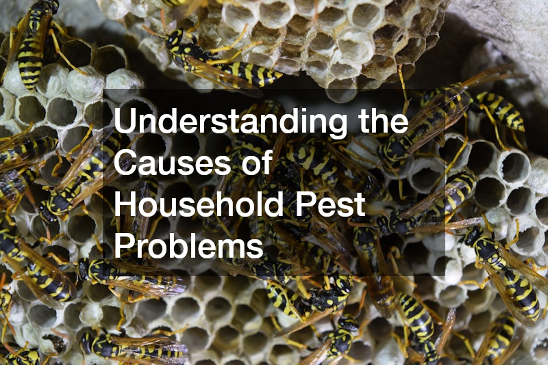 Understanding the Causes of Household Pest Problems