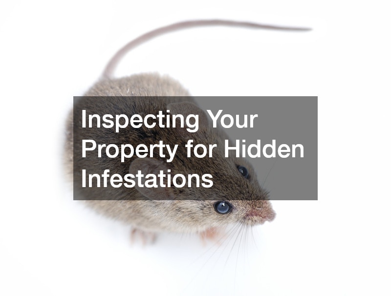 Inspecting Your Property for Hidden Infestations