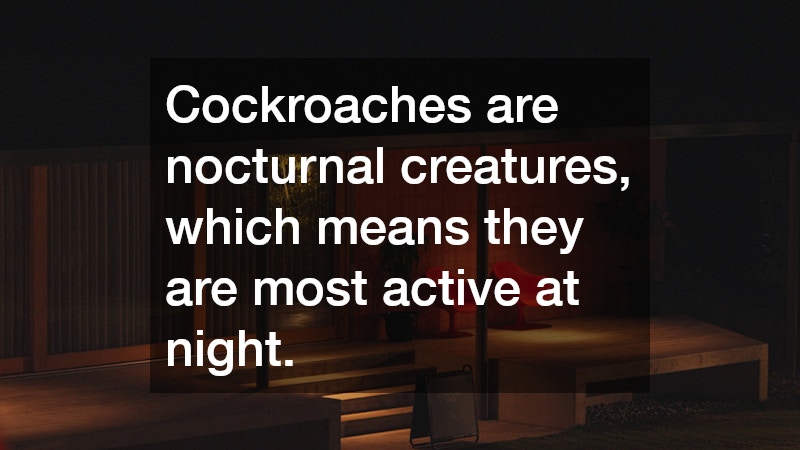 Cockroaches are nocturnal creatures, which means they are most active at night.