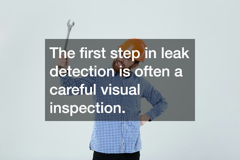 The first step in leak detection is often a careful visual inspection.