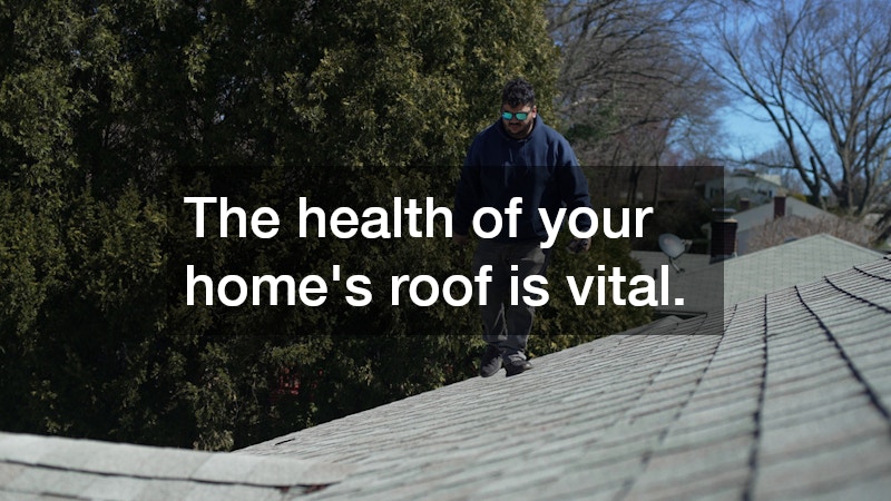 The health of your home’s roof is vital.