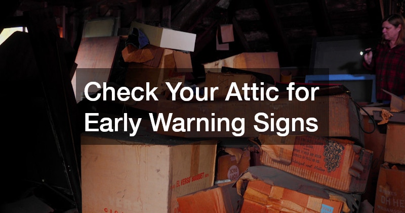 Check Your Attic for Early Warning Signs