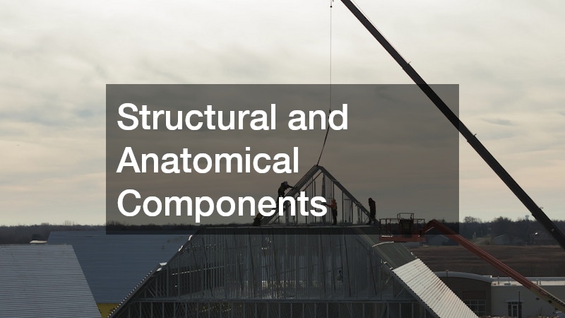 Structural and Anatomical Components