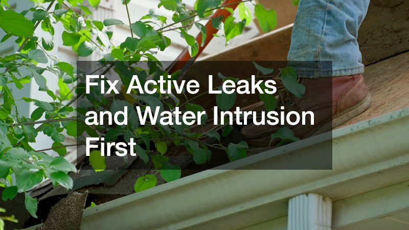 Fix Active Leaks and Water Intrusion First