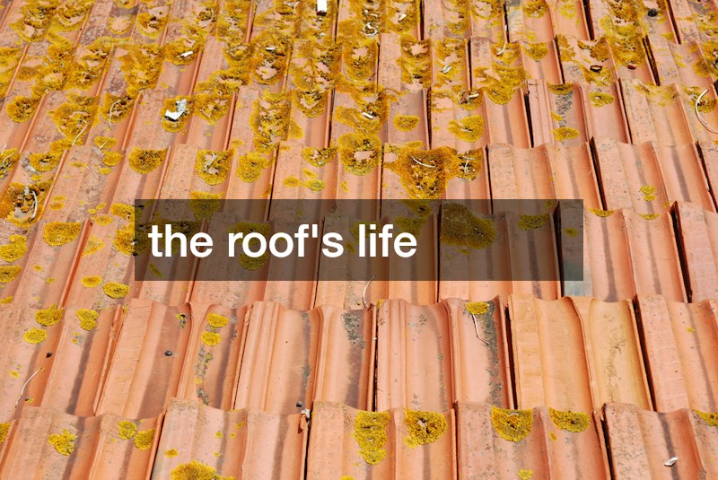 the roof