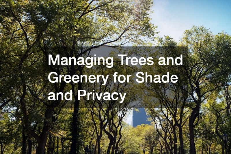 Managing Trees and Greenery for Shade and Privacy