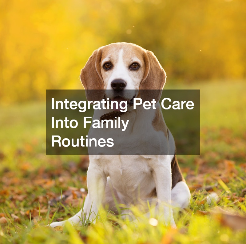 Integrating Pet Care Into Family Routines
