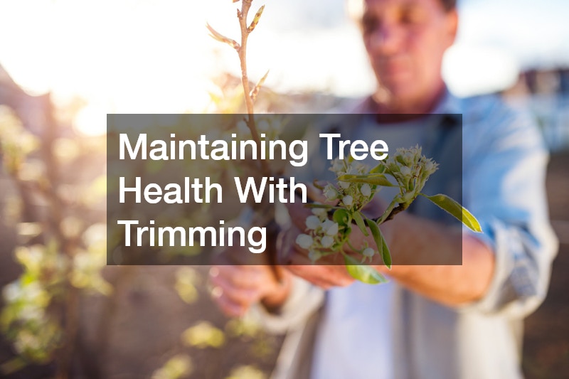Maintaining Tree Health With Trimming