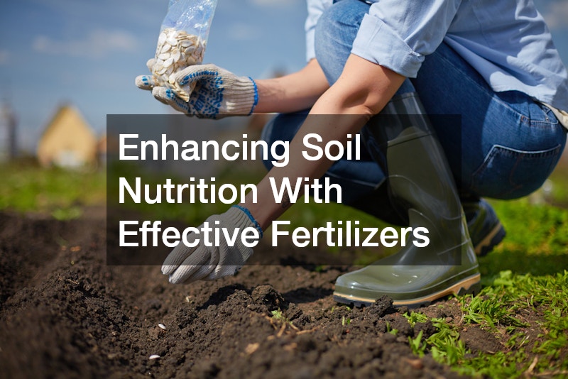 Enhancing Soil Nutrition With Effective Fertilizers