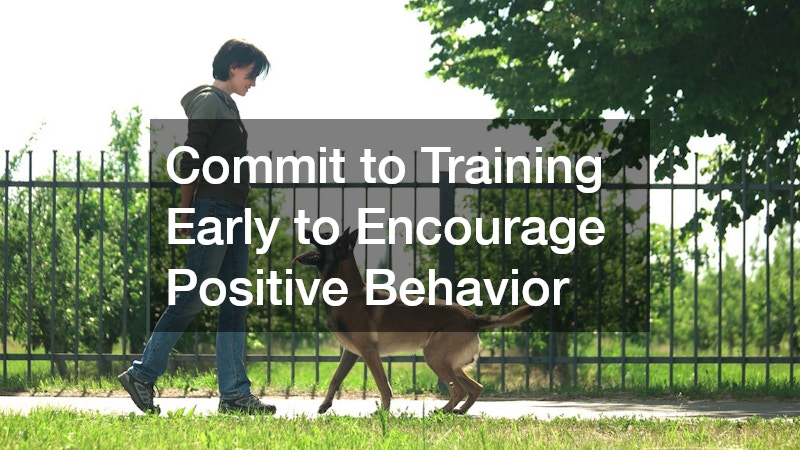 Commit to Training Early to Encourage Positive Behavior