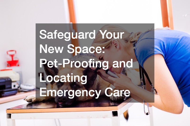 Safeguard Your New Space: Pet-Proofing and Locating Emergency Care