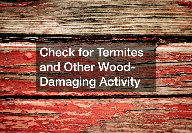 Check for Termites and Other Wood-Damaging Activity