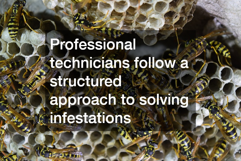 Professional technicians follow a structured approach to solving infestations