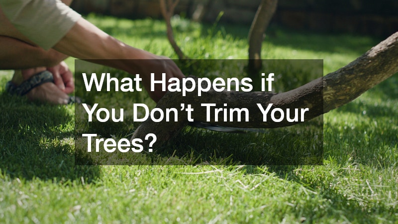 What Happens if You Don’t Trim Your Trees?