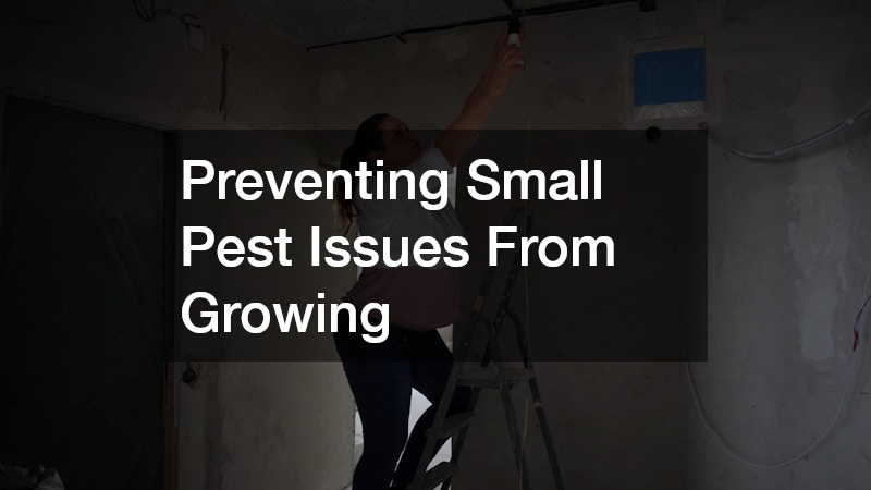 Preventing Small Pest Issues From Growing