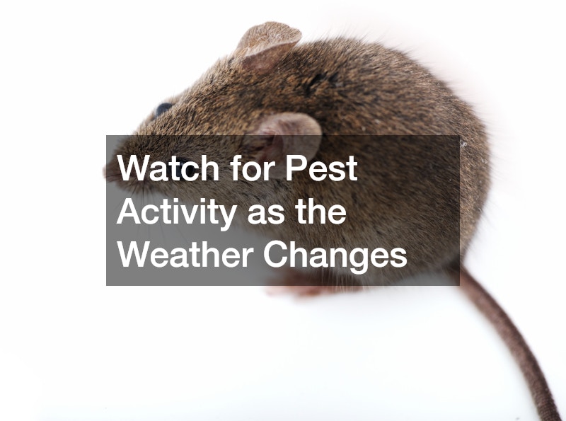 Watch for Pest Activity as the Weather Changes