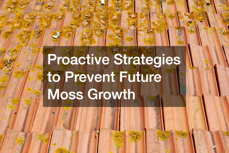 Proactive Strategies to Prevent Future Moss Growth