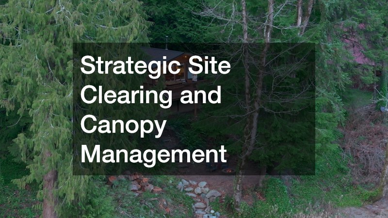 Strategic Site Clearing and Canopy Management