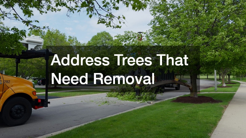 Address Trees That Need Removal