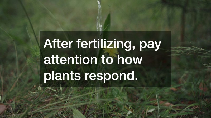 After fertilizing, pay attention to how plants respond.