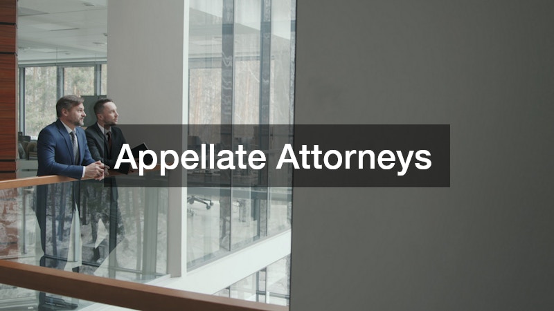 Appellate Attorneys