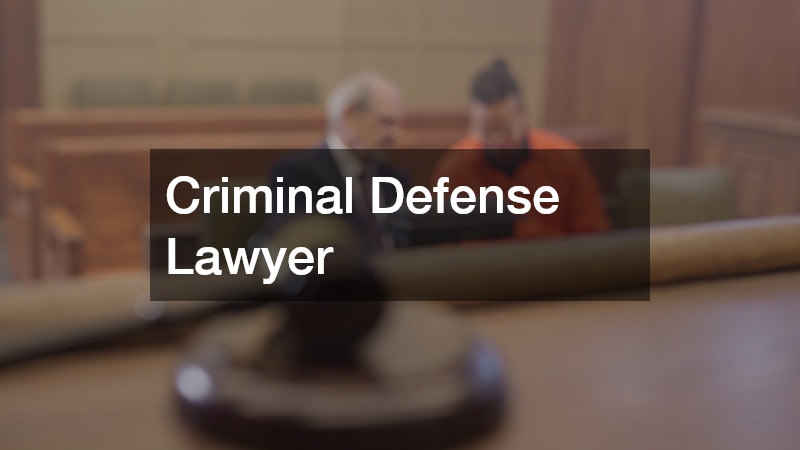Criminal Defense Lawyer