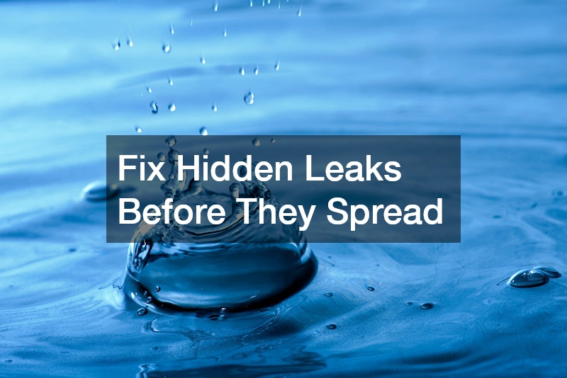 Fix Hidden Leaks Before They Spread