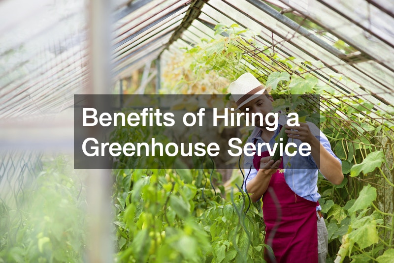 Benefits of Hiring a Greenhouse Service