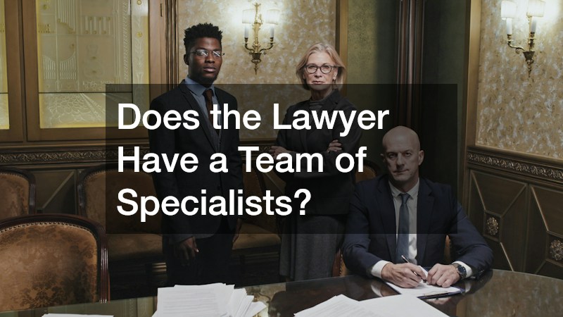 Does the Lawyer Have a Team of Specialists?