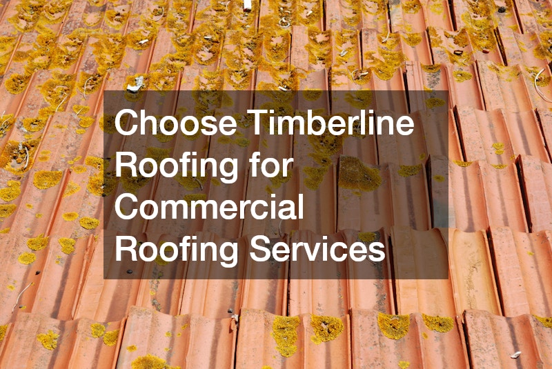 Choose Timberline Roofing for Commercial Roofing Services