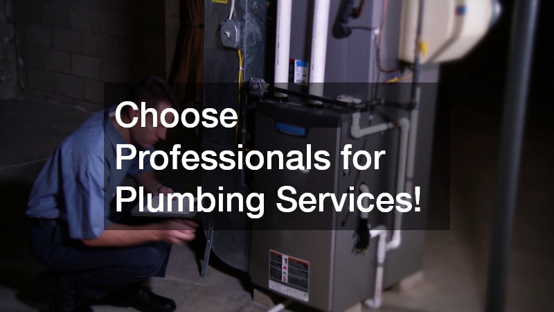 Choose Professionals for Plumbing Services!