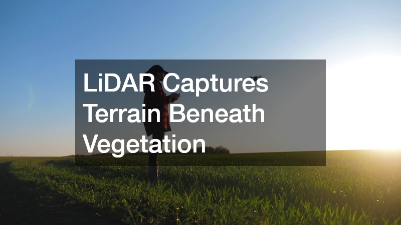 LiDAR Captures Terrain Beneath Vegetation