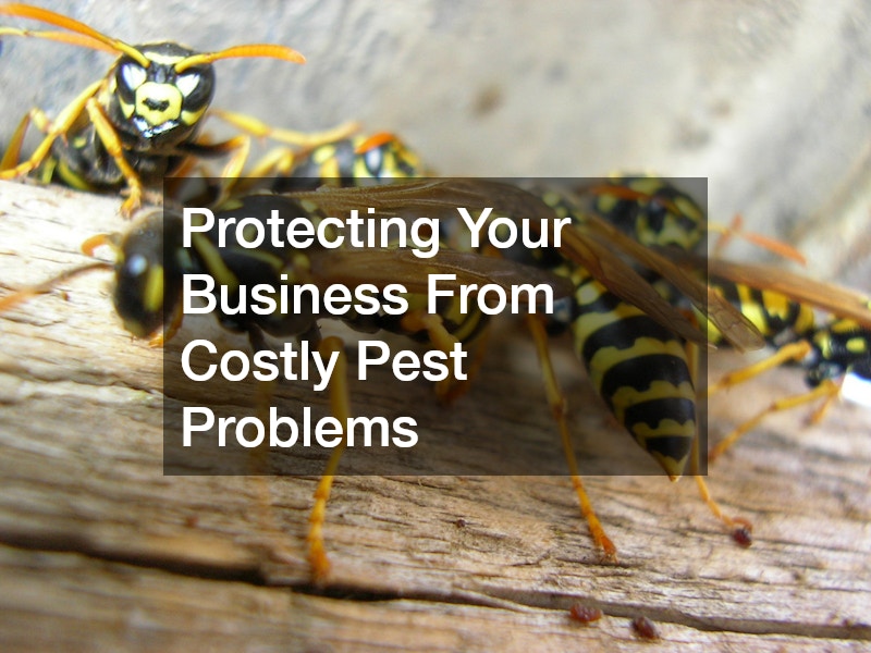 Protecting Your Business From Costly Pest Problems