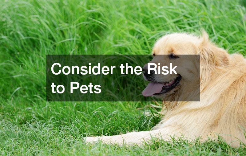 Consider the Risk to Pets