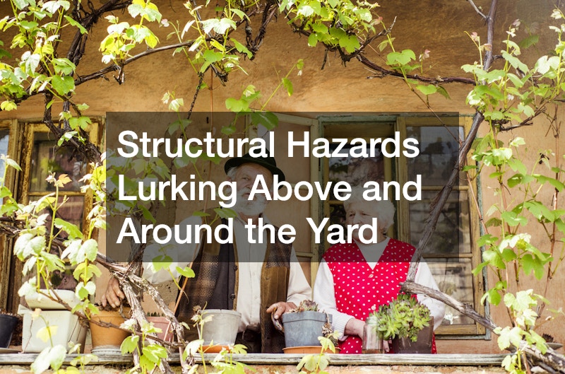 Structural Hazards Lurking Above and Around the Yard
