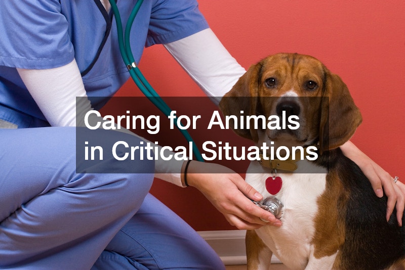 Caring for Animals in Critical Situations