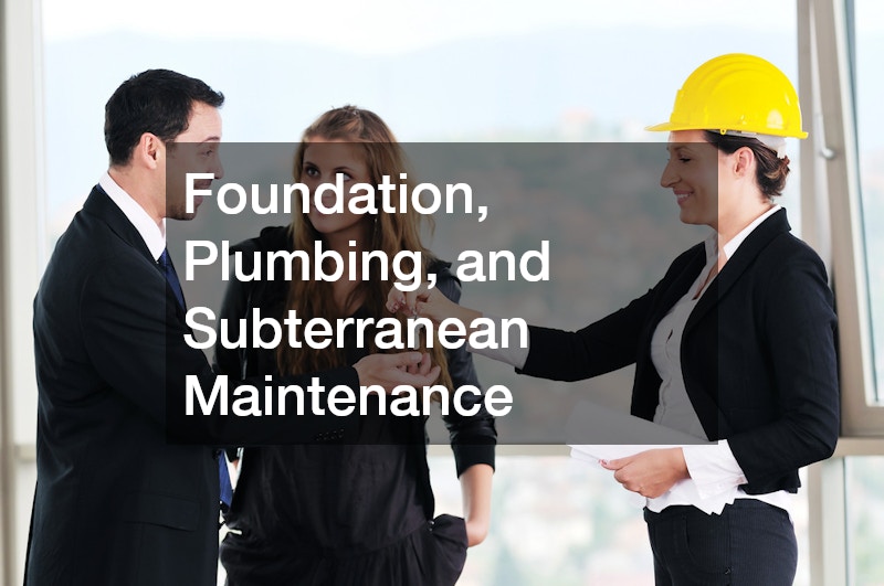 Foundation, Plumbing, and Subterranean Maintenance