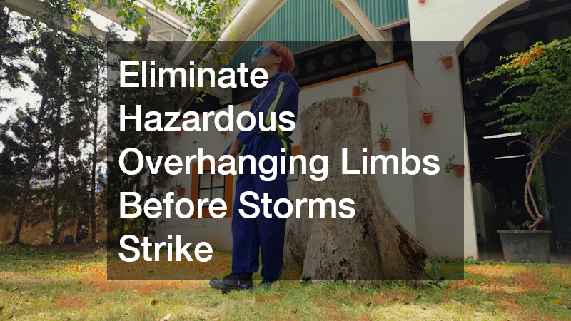 Eliminate Hazardous Overhanging Limbs Before Storms Strike